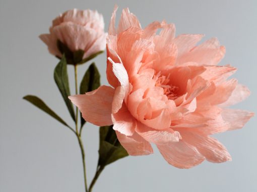 floriografi