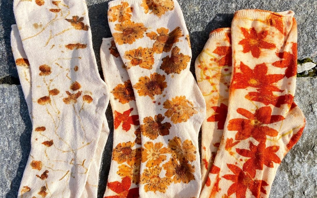 Vanessa Hansen Studio