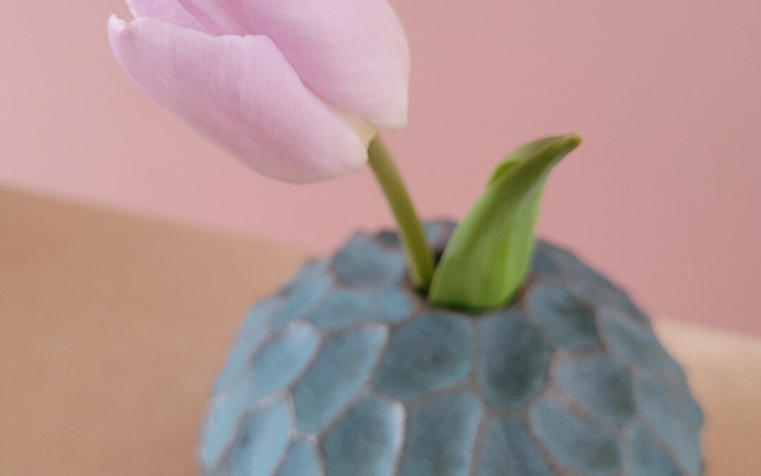 Sofia Broberger Pottery