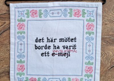 Kontroversiella korsstygn