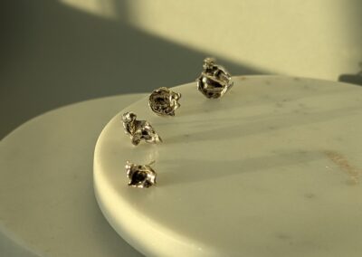 Silver Oyster