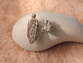 Silver Oyster