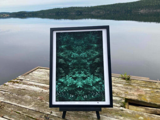 Eye on the Journey – Catrin Schmeer